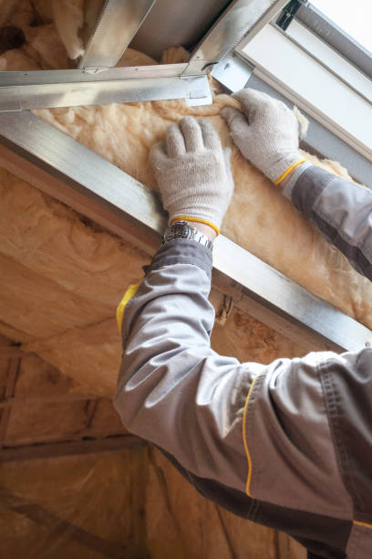 Best Insulation Maintenance and Repair in Ellsworth, KS